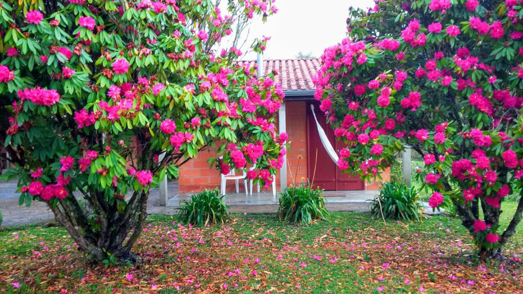 Recanto Da Natureza, Chale Gonçalves Exterior foto